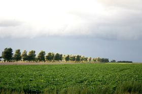 IMG_3780.JPG
