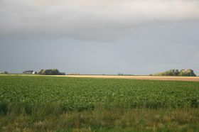 IMG_3781.JPG