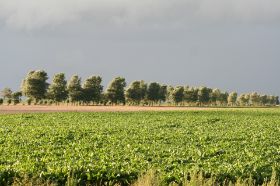 IMG_3786.JPG
